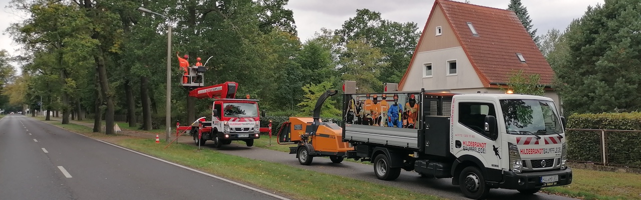 Baumarbeiten Straße Berlin Brandenburg