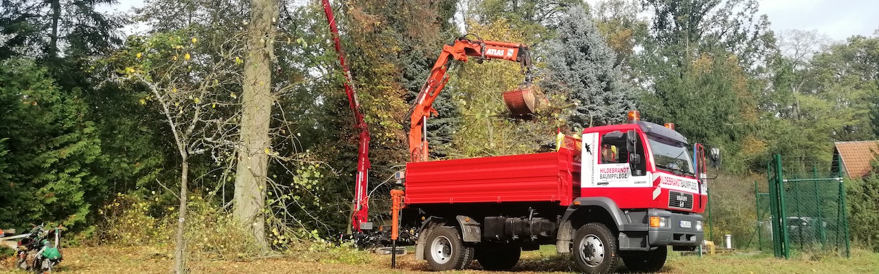 Baumpflege LKW Wagen Berlin